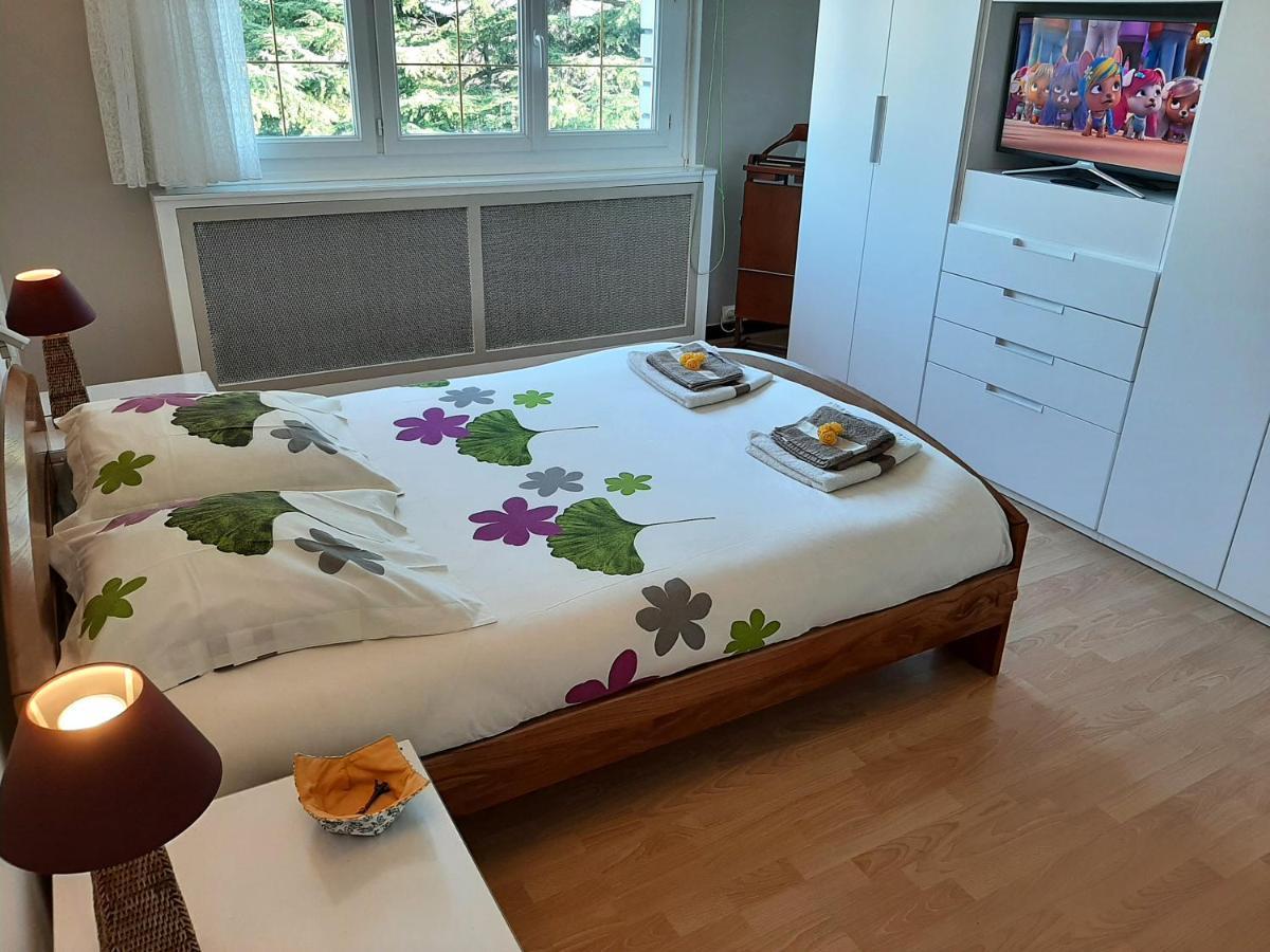 Villa Avec Piscine Proche Disneyland Et Paris Сен-Тібо-де-Вінь Екстер'єр фото